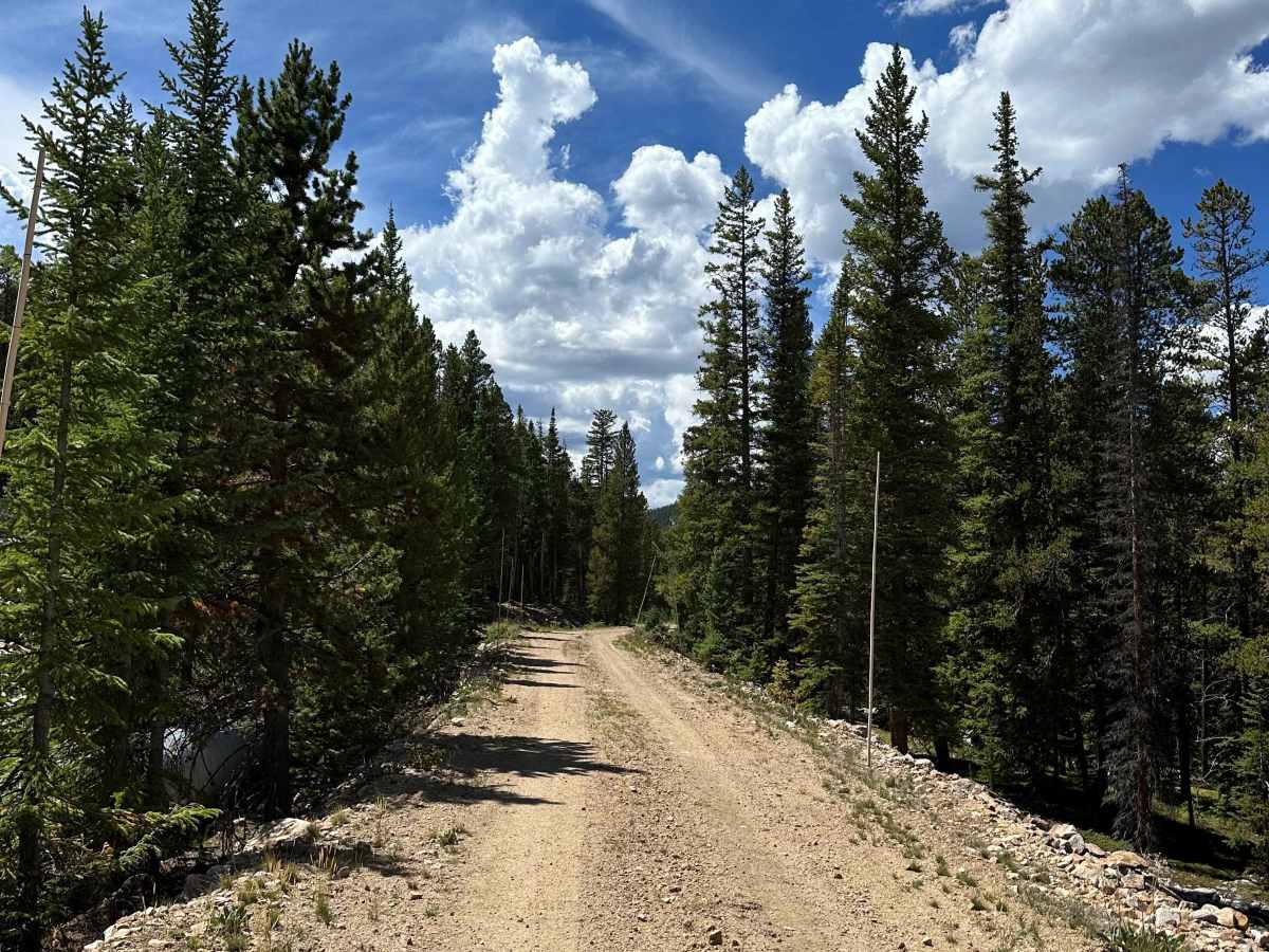 No Name Road photo 5