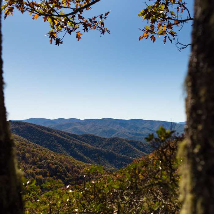 Near Mount Pisgah via the Buck Spring Trail Near Mount Pisgah via the Buck Spring Trail
