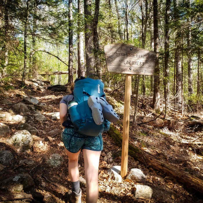 Near Sandwich Dome via Sandwich Mountain Trail + Drakes Brook Trail Near Sandwich Dome via Sandwich Mountain Trail + Drakes Brook Trail