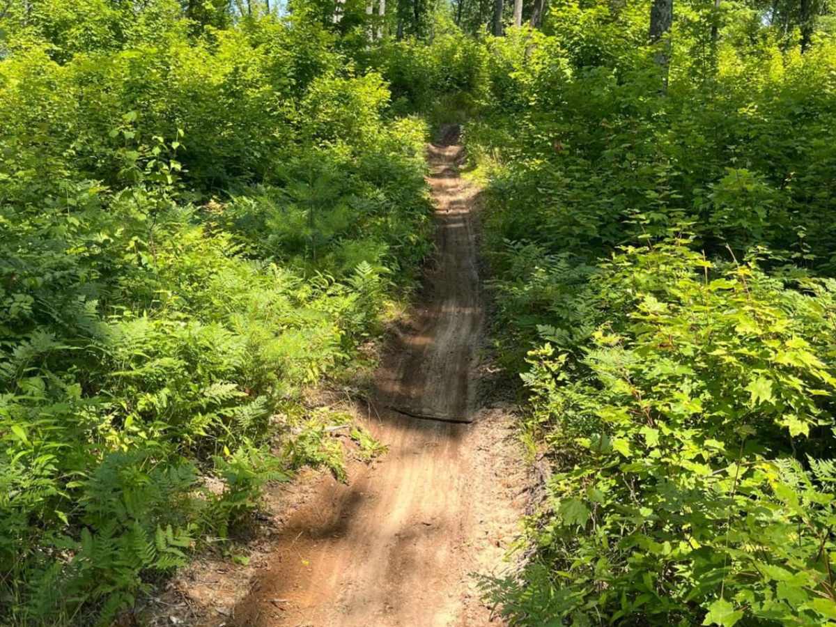 Tin Cup Springs Motorcycle Trail photo 4