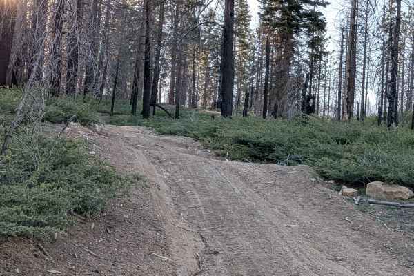 Forks - FS 23S62