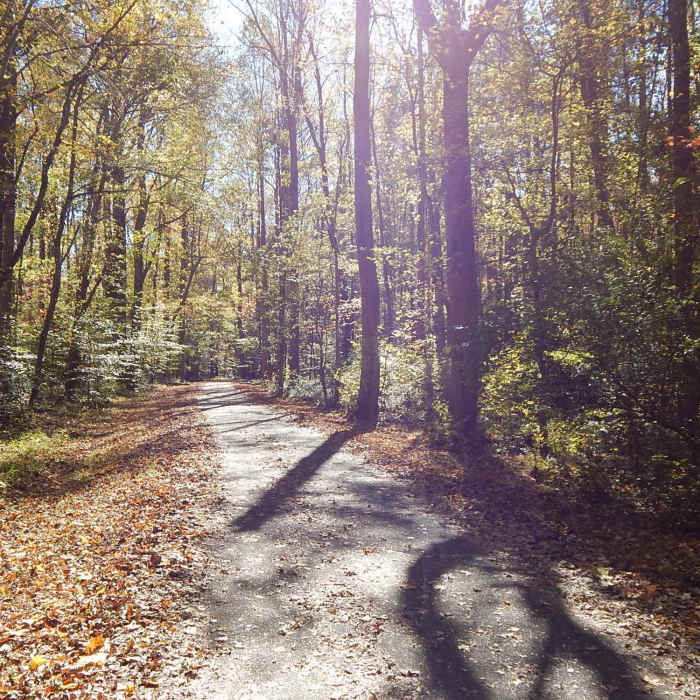 DSCN1641" by Andrea Dufrenne (https://tinyurl.com/v6nm4hf), Flickr licensed under CC BY 2.0 (https://creativecommons.org/licenses/by/2.0/)." Near Merkle Loop