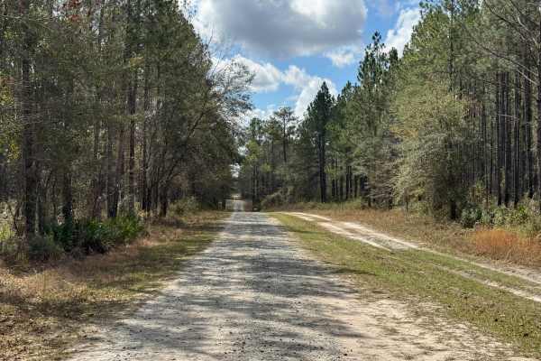 Hinson Road