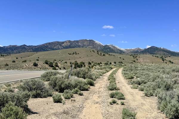 Blackbird Ranch Loop FS43255