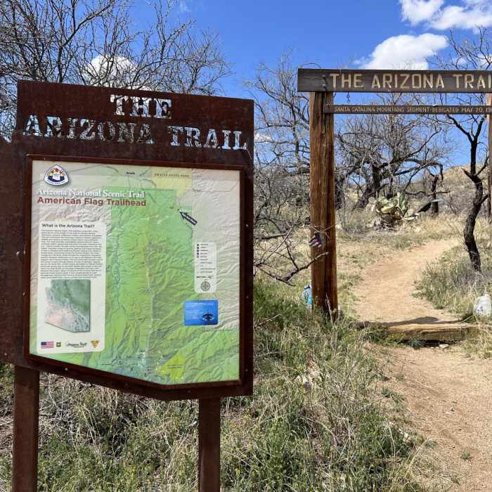 Near Oracle to American Flag