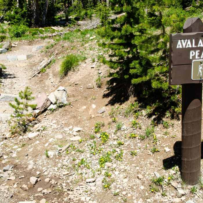 Near Avalanche Peak Near Avalanche Peak