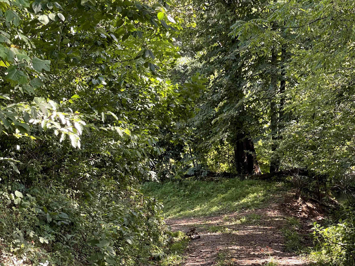 Scenic View Lane photo 3