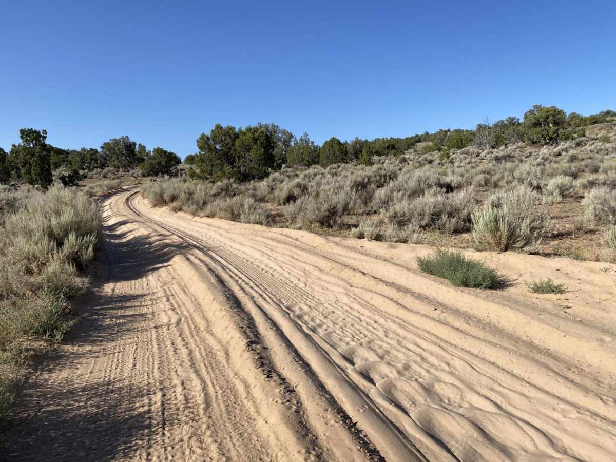 White Pocket Road photo 3
