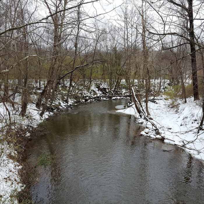 Near Paint Branch Trail