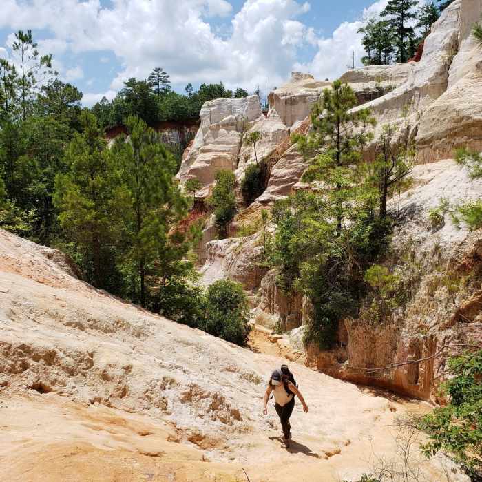 Near Canyon Loop Trail
