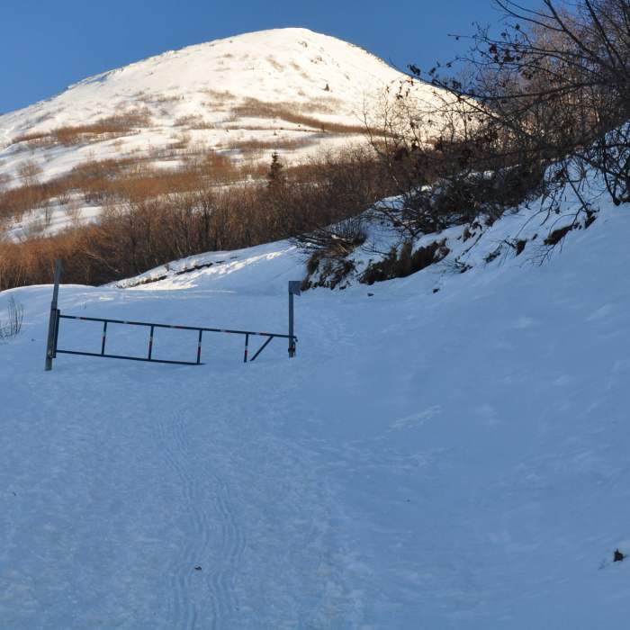 Snowy start to the trail. Near Mt. Baldy Trail