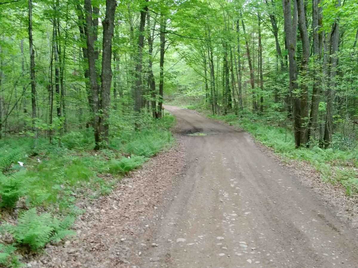 Wildwood Trail/Partridge Trail photo 2
