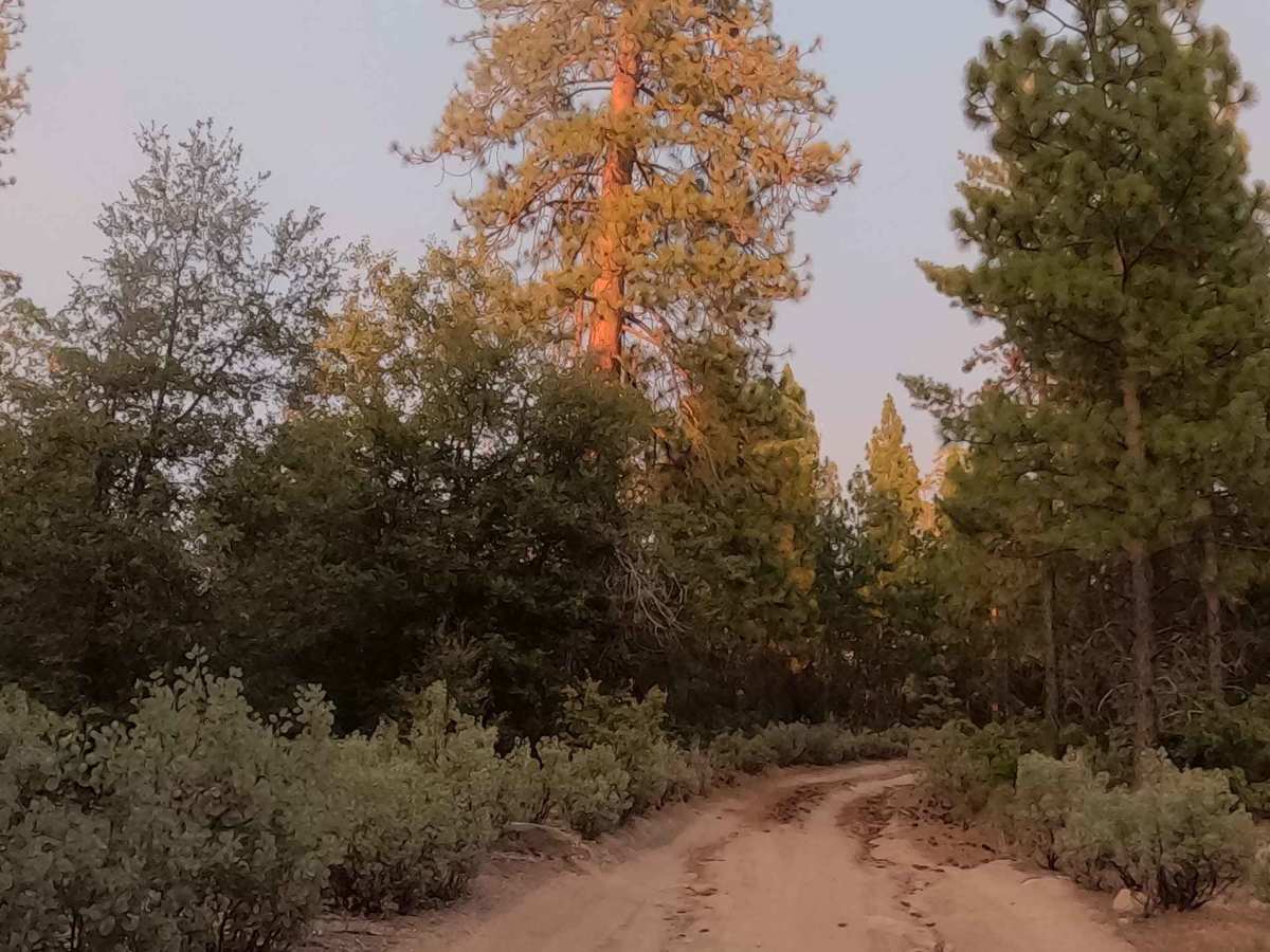 McLeod Flat - FS 5S007Z photo 5