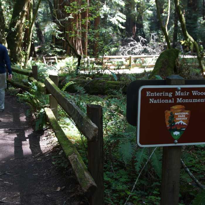 Entering Muir Woods from the Bootjack Trail Near Bootjack Trail