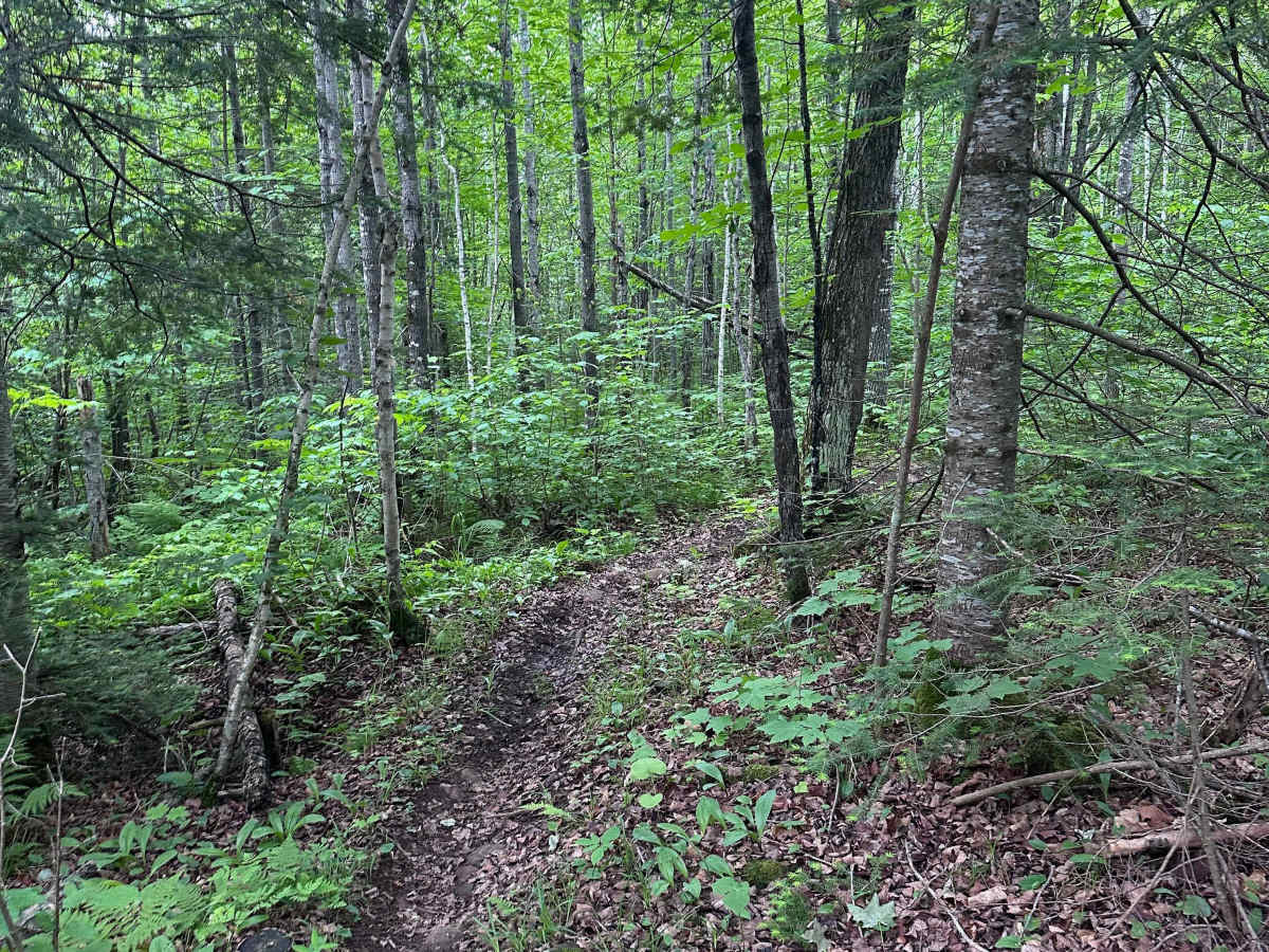 Alger Grade - Trail 4 photo 5