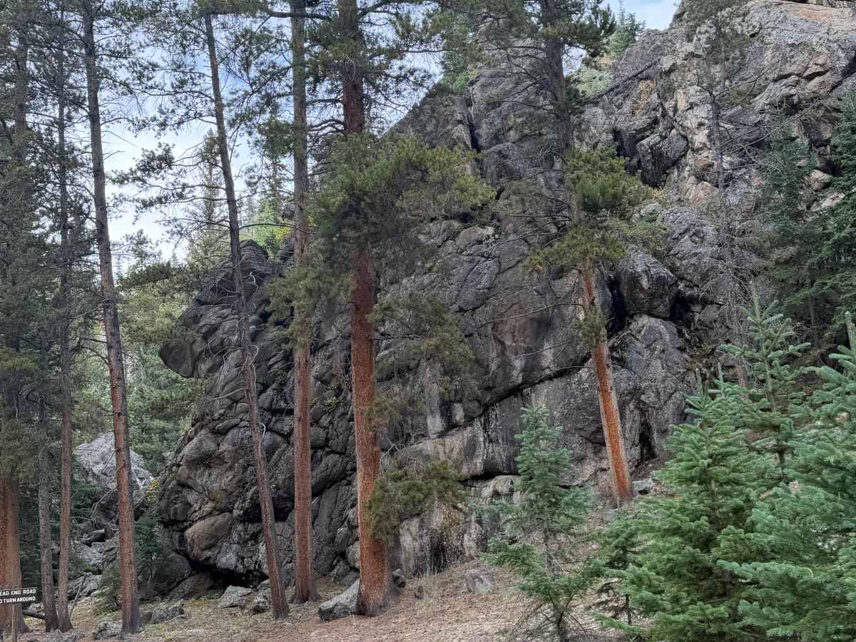 Middle Fork Campground Road photo 5