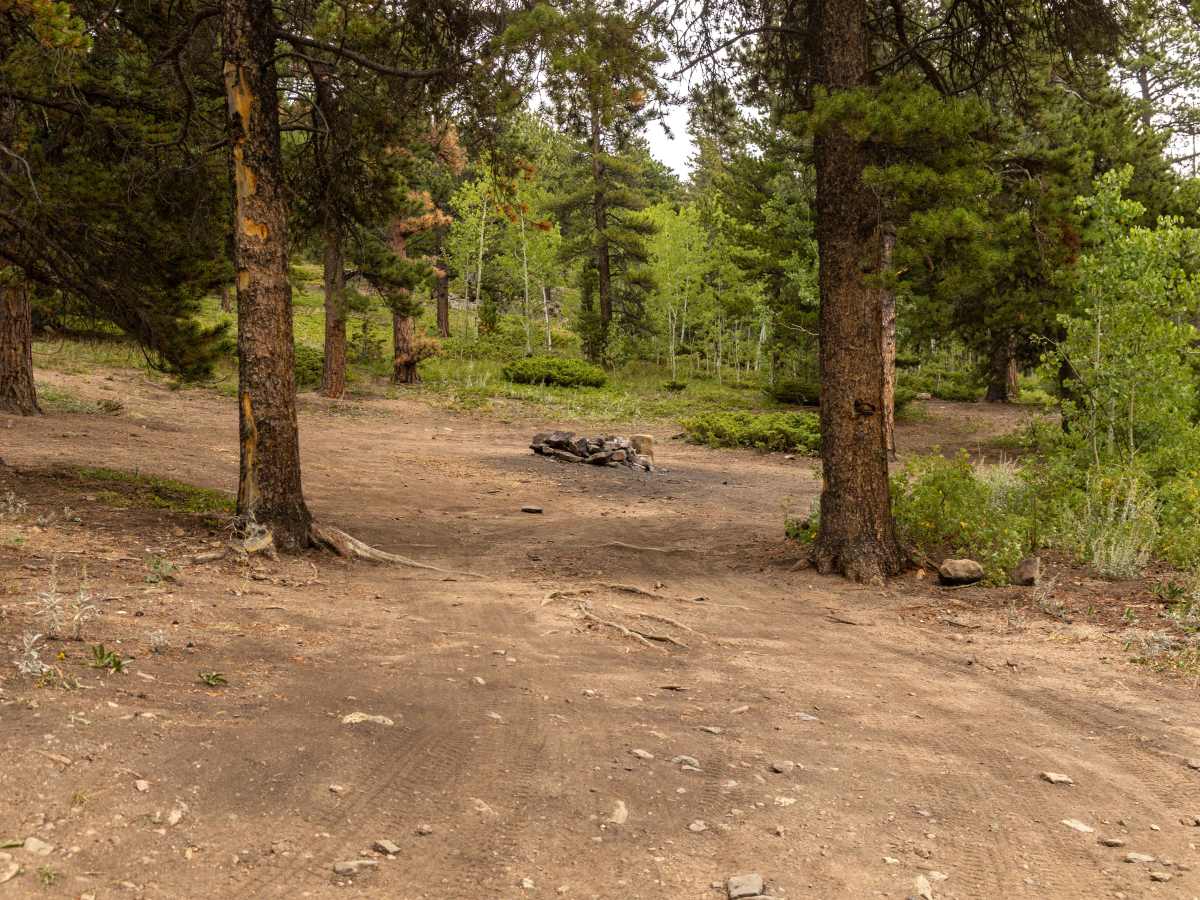 Gordon Gulch photo 6