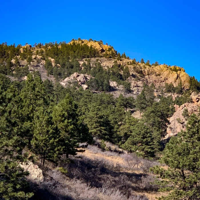 Near South Ridge Trail