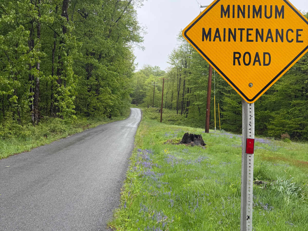 Goodhines Road trail photo