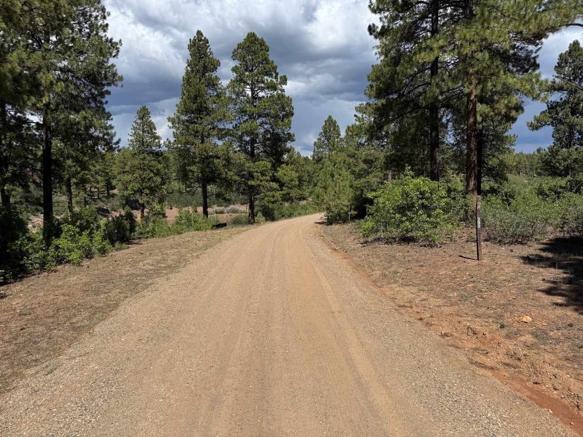 Grouse Point Road trail photo
