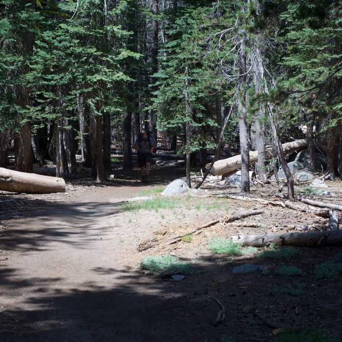 Near El Capitan to Upper Yosemite Falls