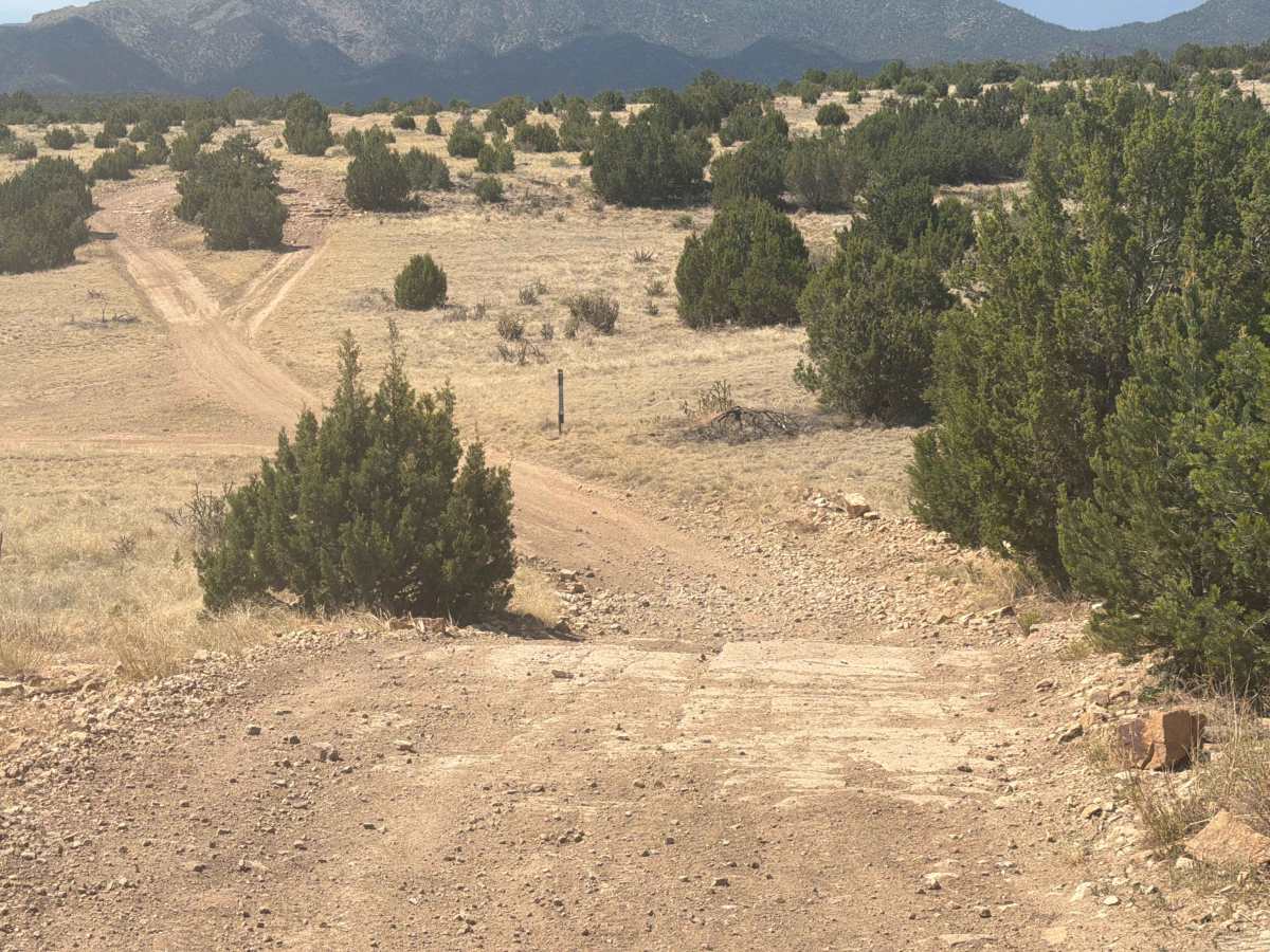 BLM 6101 photo 5