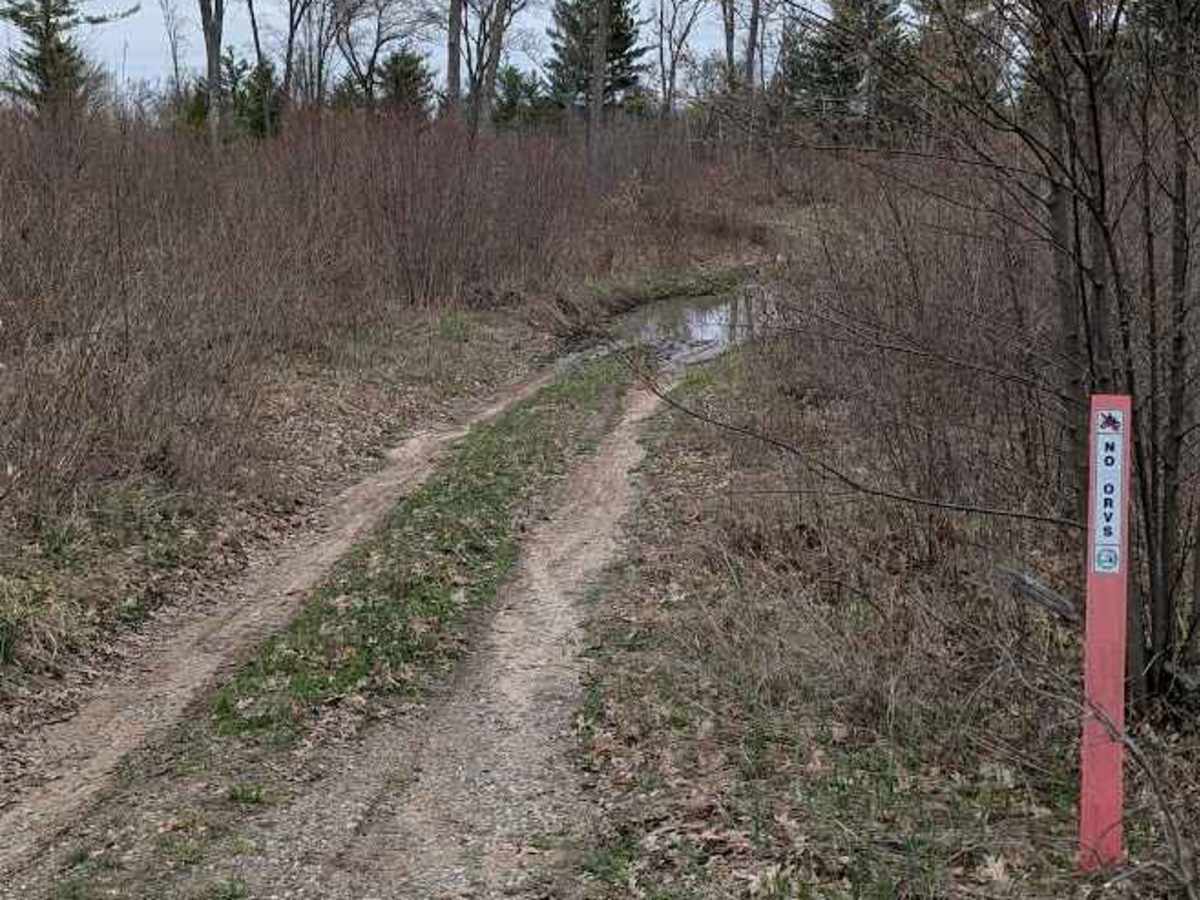 Creek Crossing photo 6