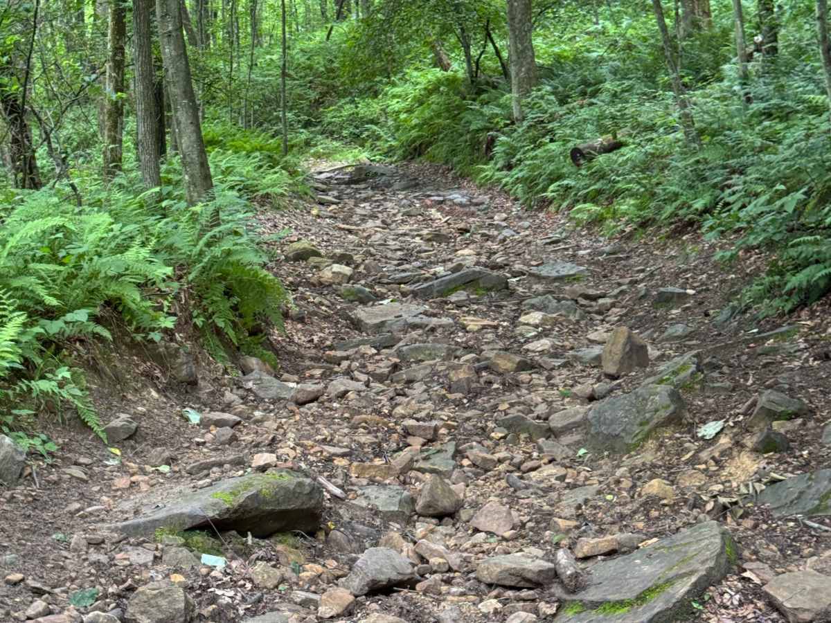 Trail 30 photo 6