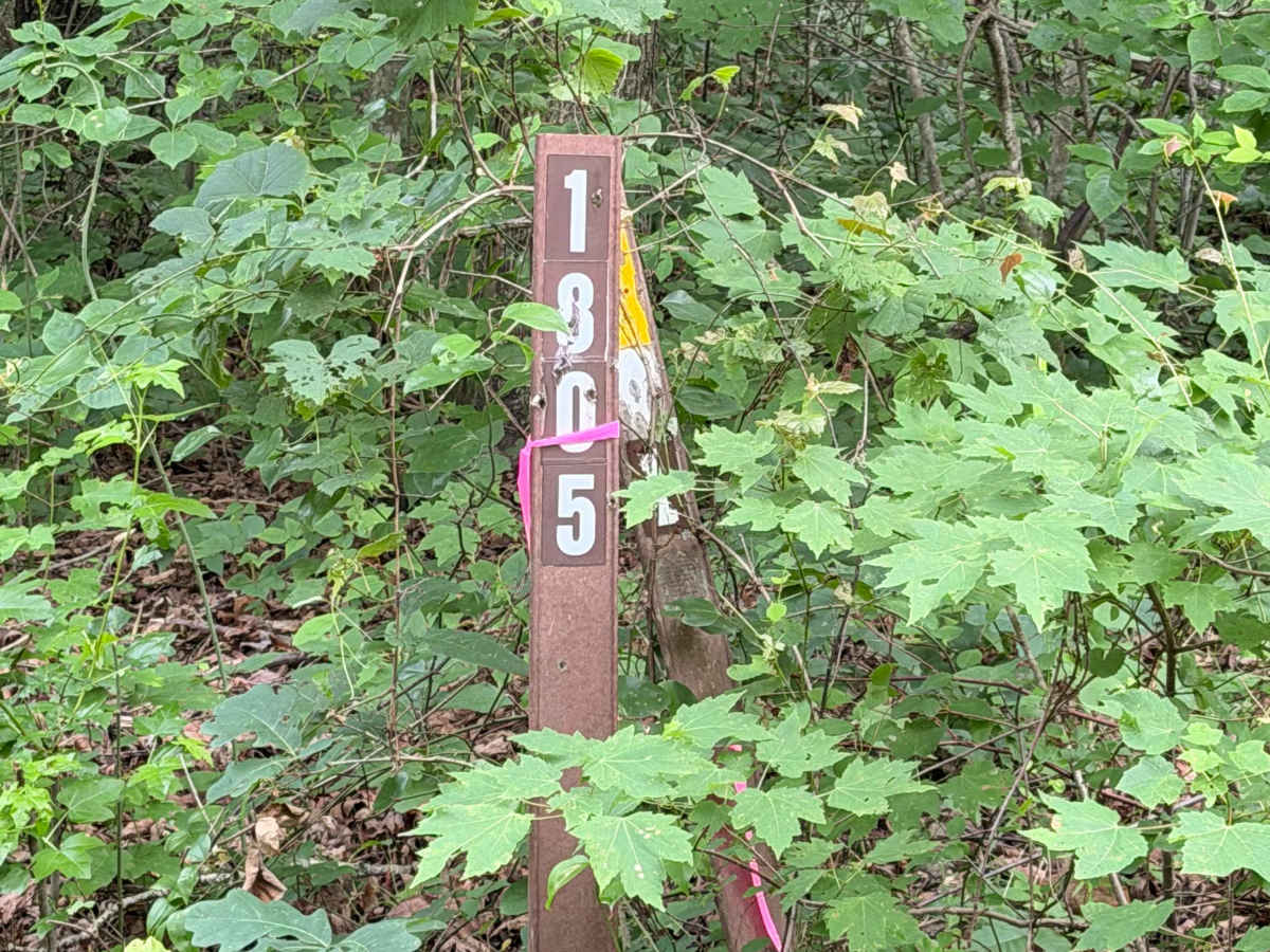 County Road 1805 photo 2