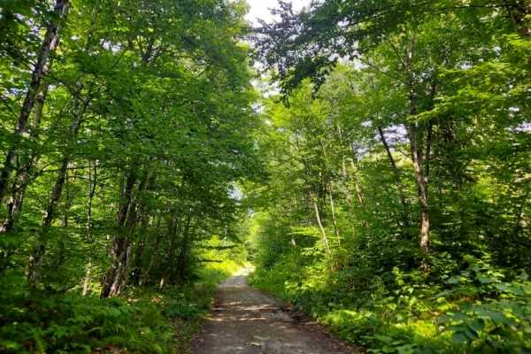 MMC Outdoors Extension