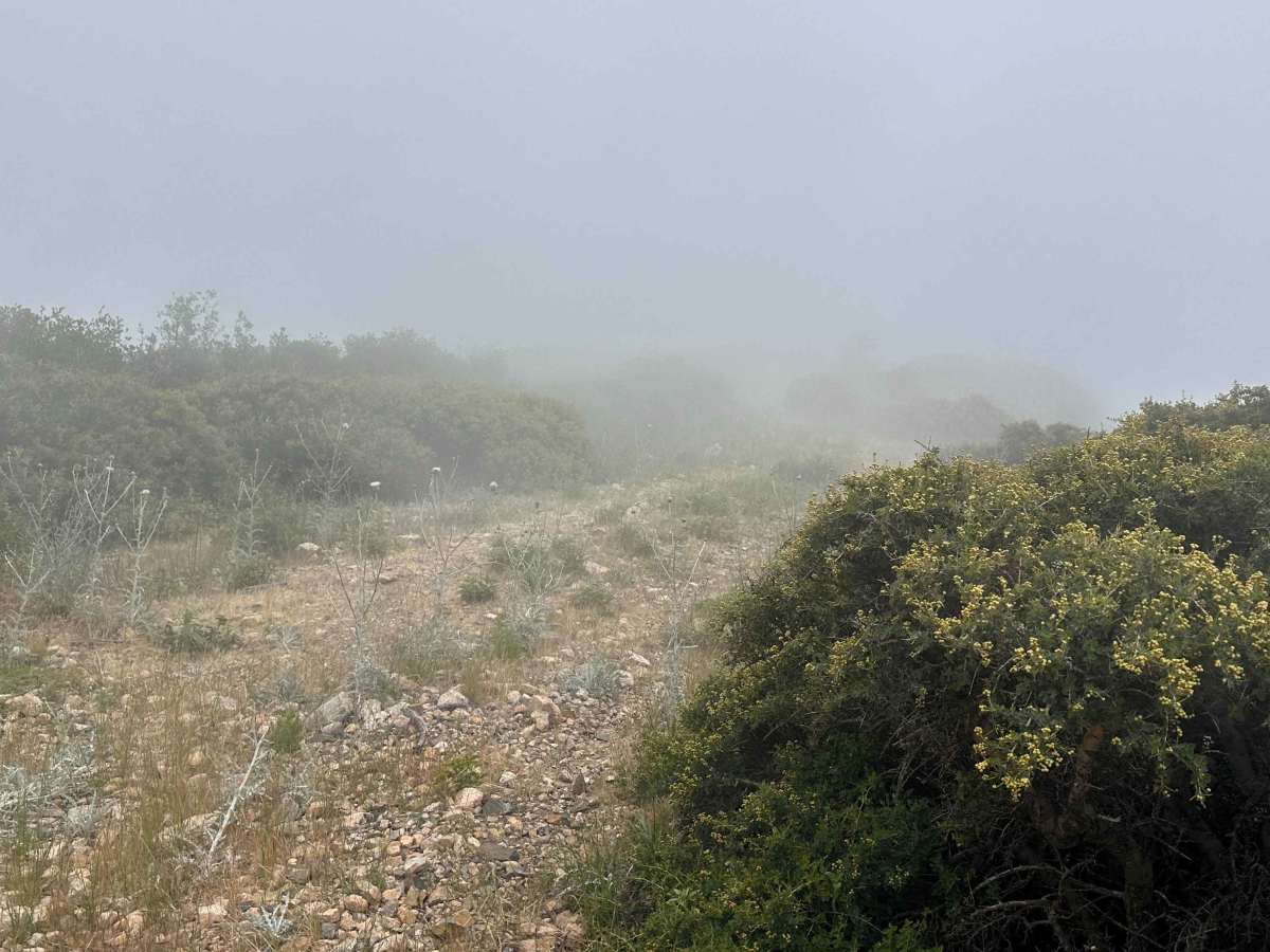 Copper Canyon Trail photo 5