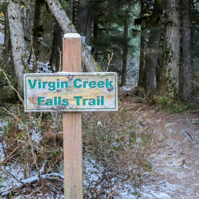 Near Virgin Creek Falls