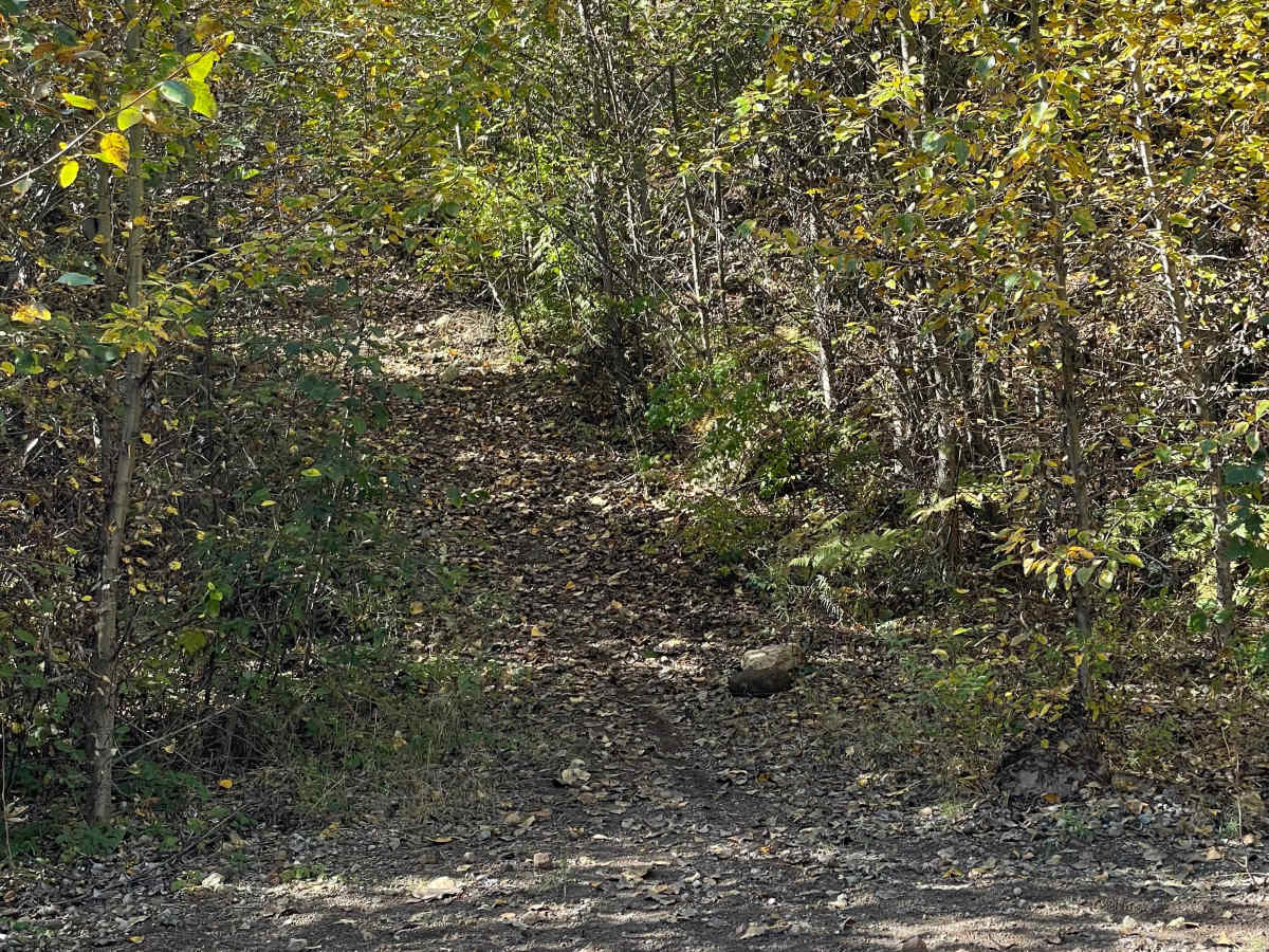 Lower Hydro Climb photo 4
