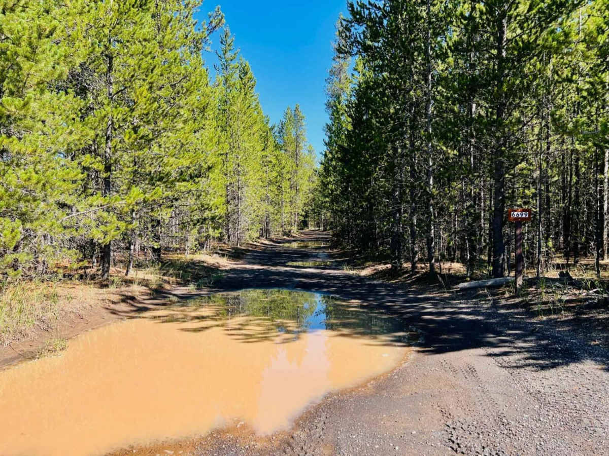 Stage Trail photo 2