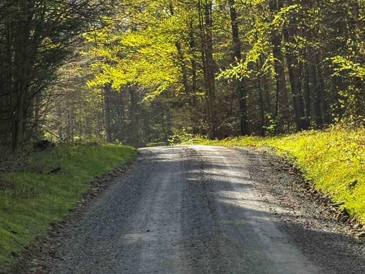 Os Long Road photo 5