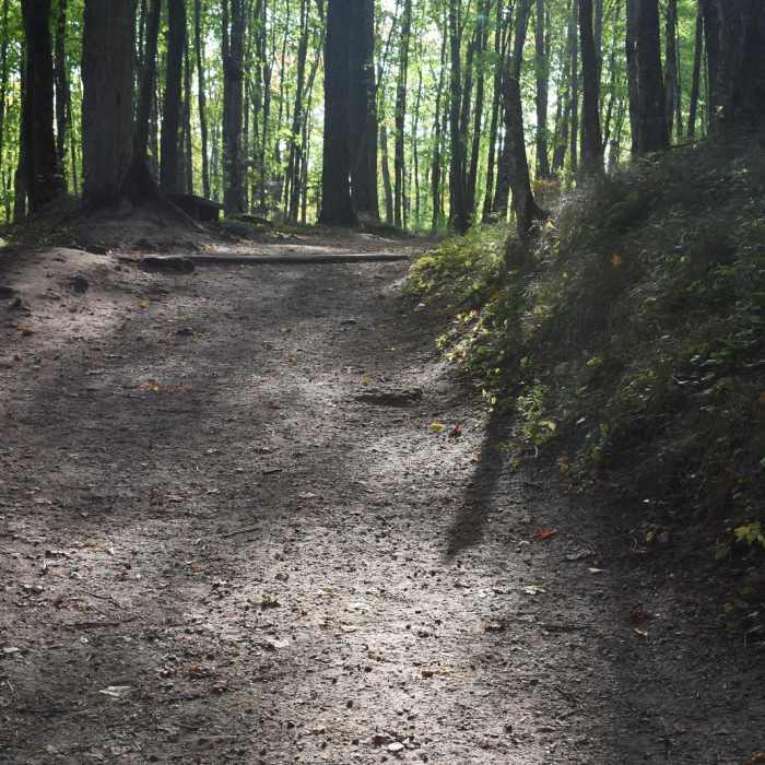 Near Miners Falls Trail Near Miners Falls Trail