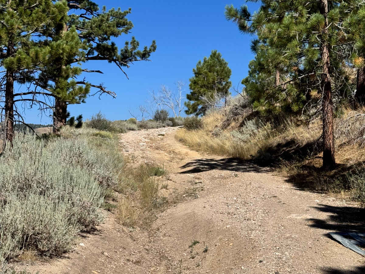 Colorado Hill Road - FS 31326 photo 2