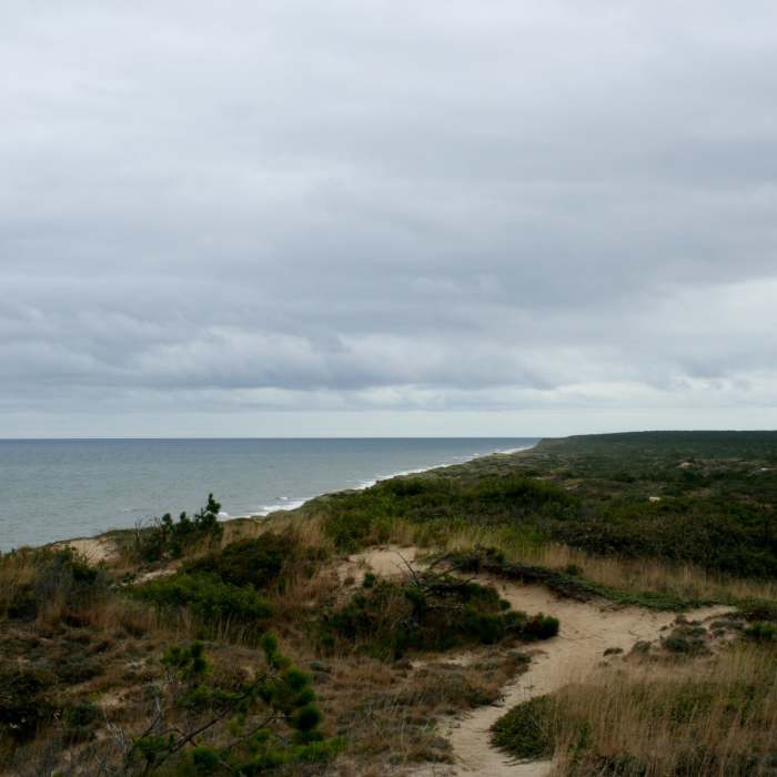Near Atlantic White Cedar Trail
