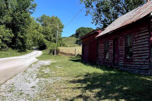 Blue Springs Road