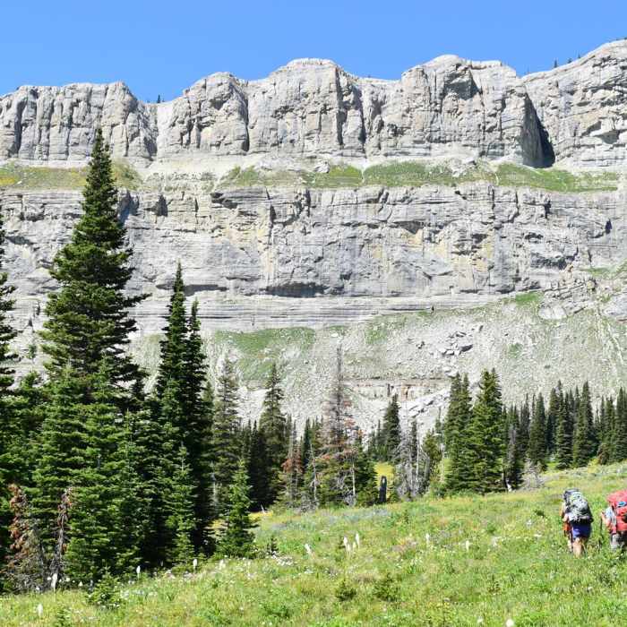 Near The Chinese Wall Loop