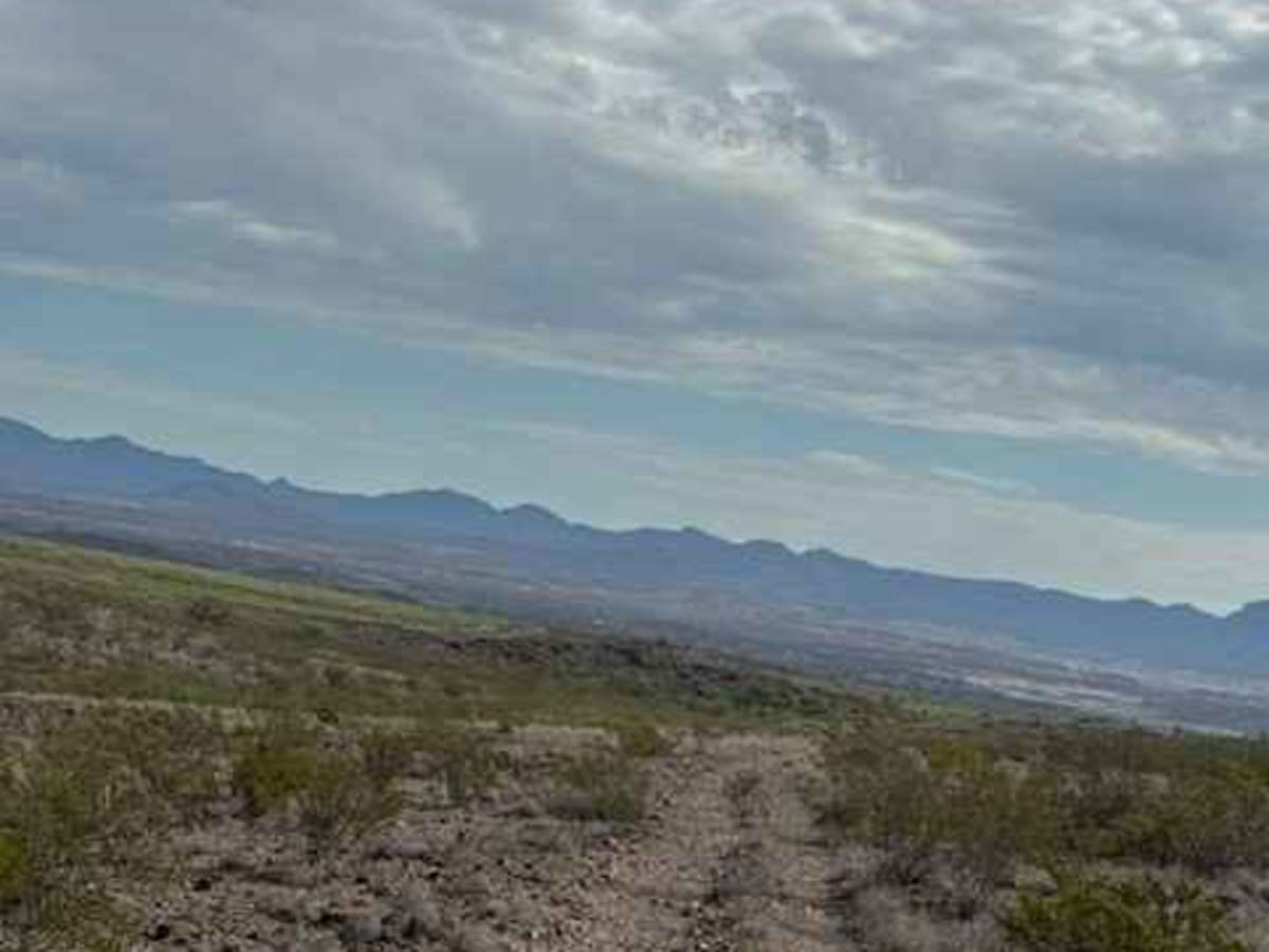 BLM SS1040 photo 4