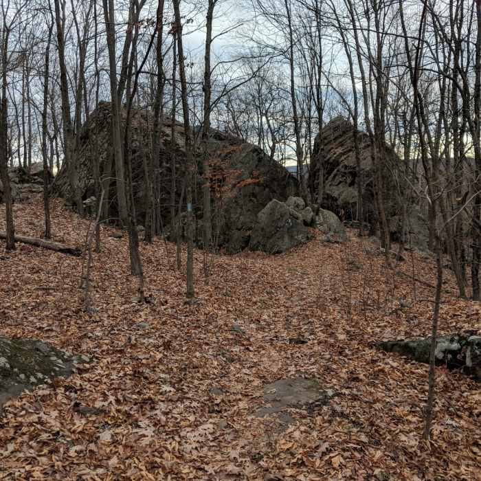 Near Will Warren's Den and Lookout