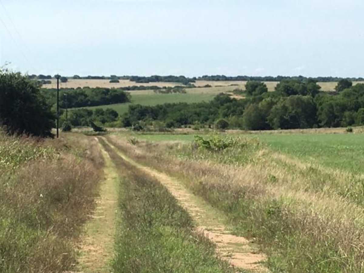 Navasota Headwaters photo 6
