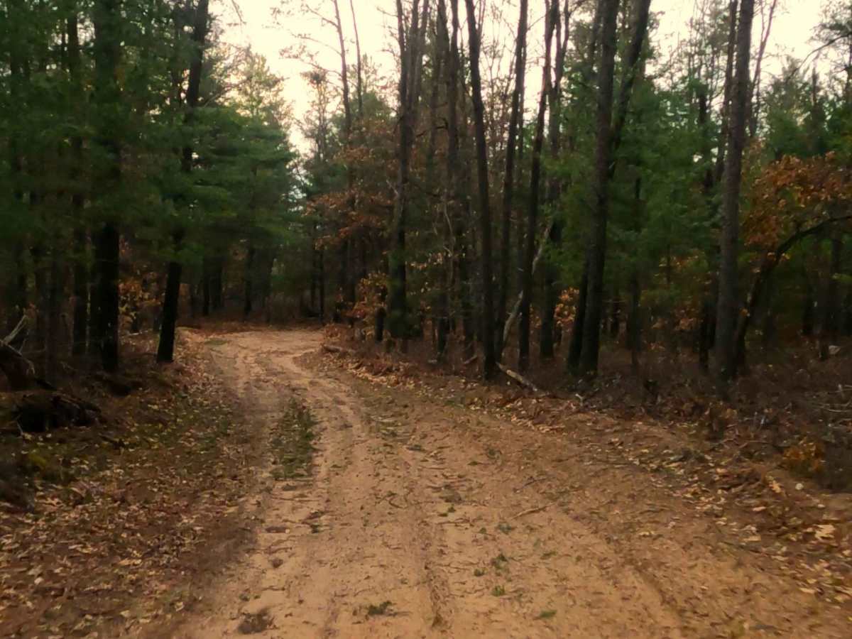 ORV H57 : Mack- McKinley Trail photo 6