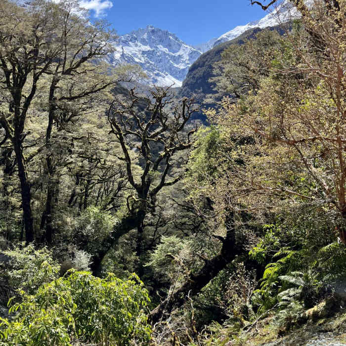 Near Key Summit and View of Lake Marian via Routeburn Track