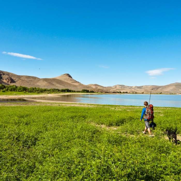 Near The Honeycombs Near The Honeycombs