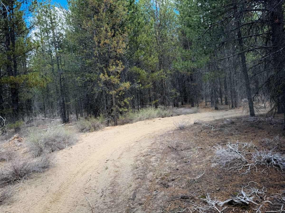 Trail 18  photo 5