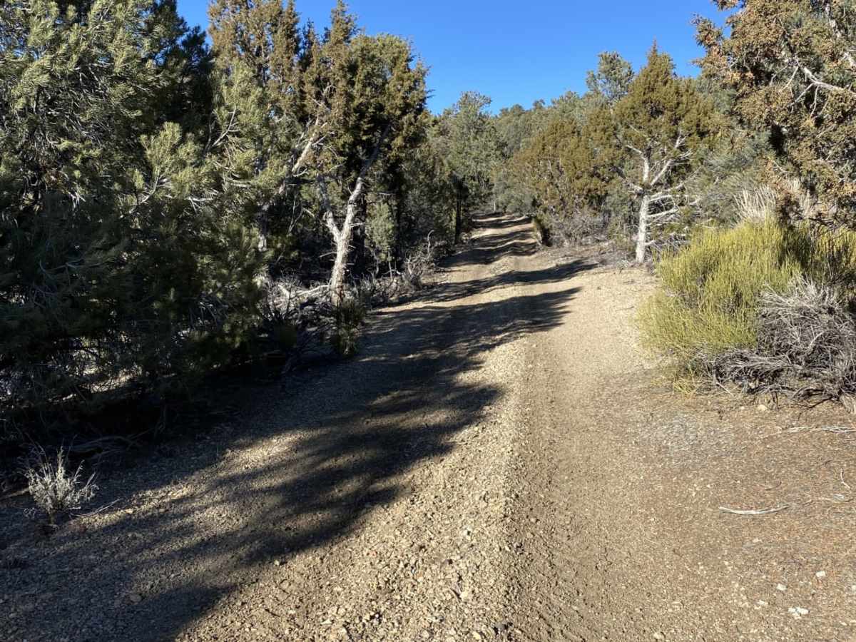 Silver King Side Loop trail photo