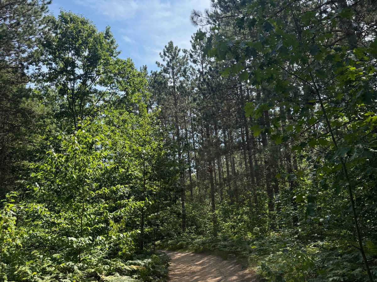 S 29 Trail trail photo