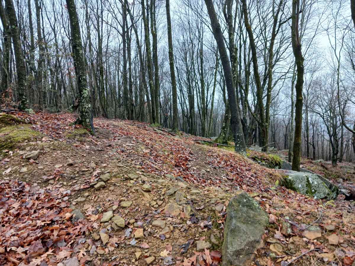 OHV 36 - Rock Run Recreation Area photo 3